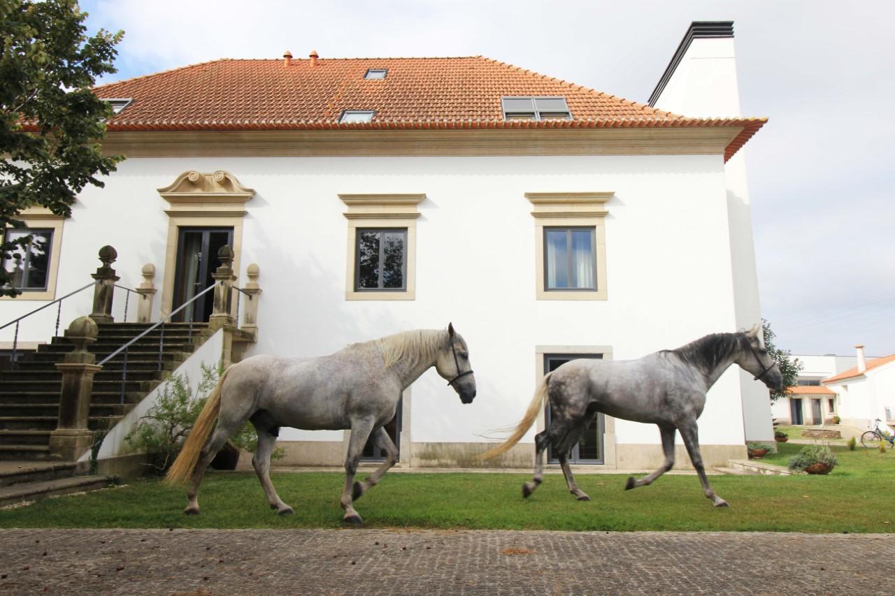 Quinta Da Aldeia De Avanca Exterior photo